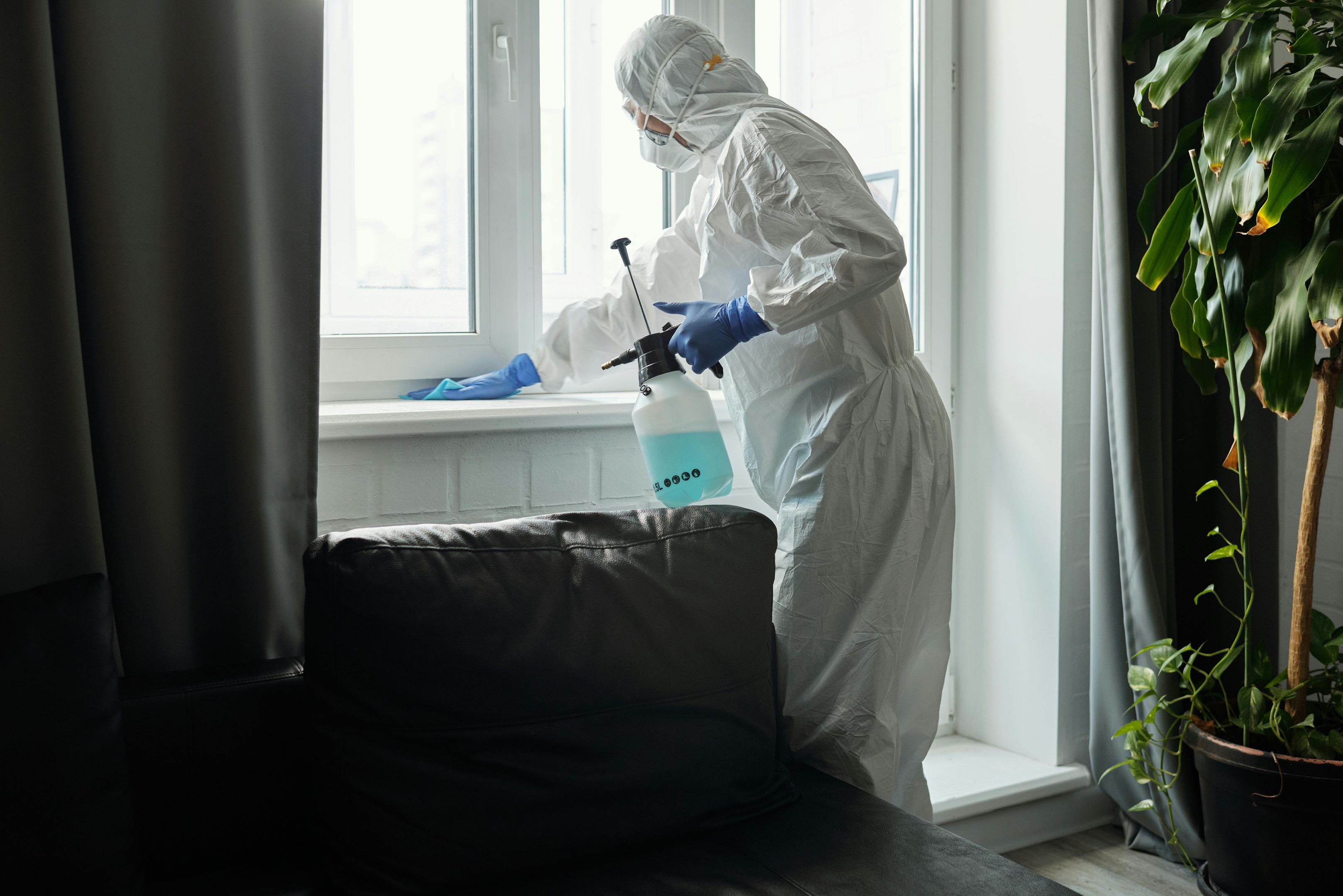 Dienst Specialistisch reinigen